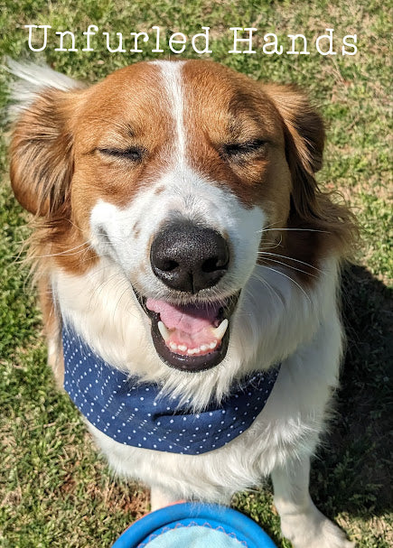 Dog Cat Pet Reversible Bandana Stretch - scrunchie - elastic - Navy Floral and Polka Dots