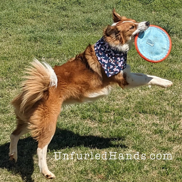 Dog Cat Pet Reversible Bandana Stretch - scrunchie - elastic - Navy Floral and Polka Dots