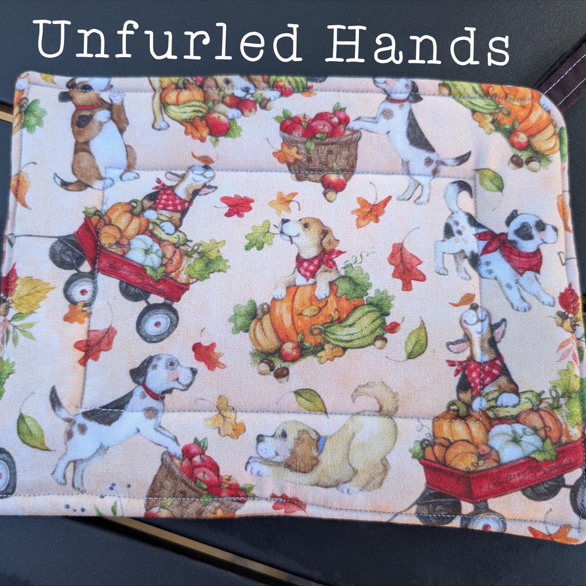 Reversible Fall Autumn Potholders